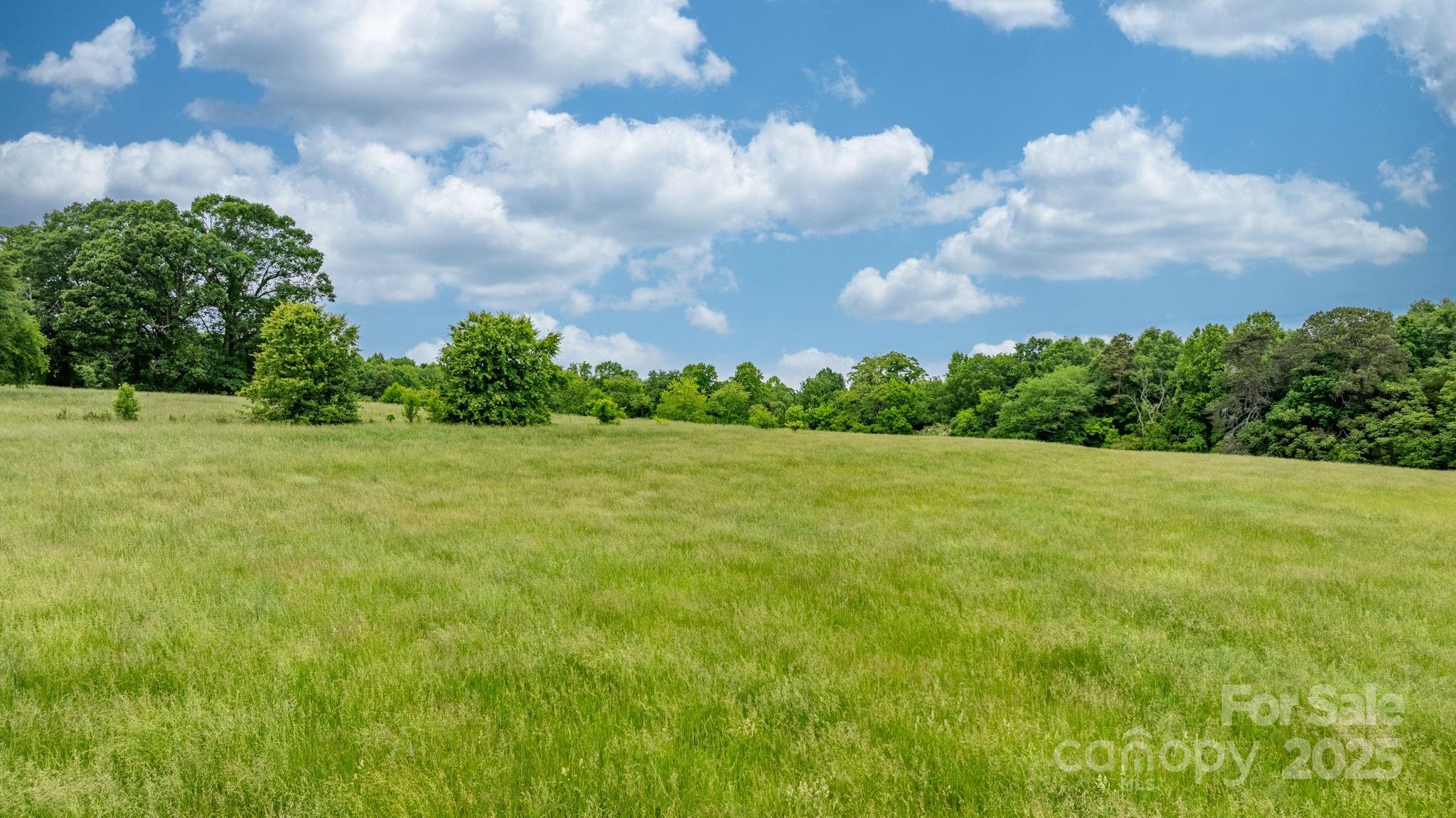 9161 Paul Payne Store Road Stony Point, NC 28678 - Photo 7 of 23 Gallery Image 7