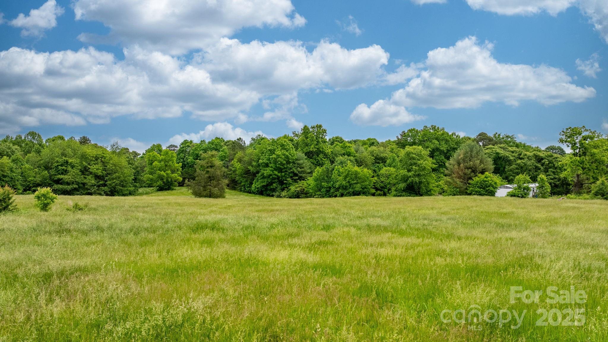 9161 Paul Payne Store Road Stony Point, NC 28678 - Photo 9 of 23 Gallery Image 9