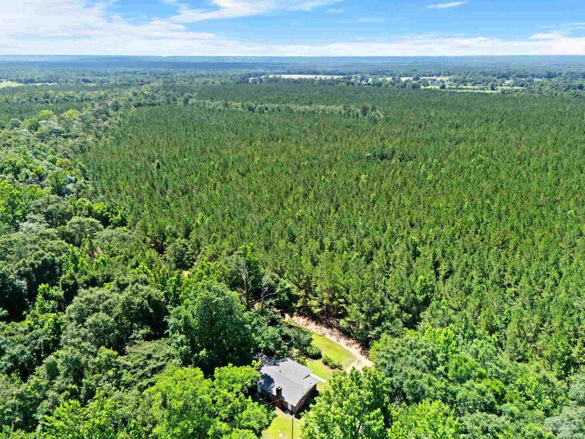440 Hart Farm Road Flomaton, AL 36441 - Photo 43 of 45