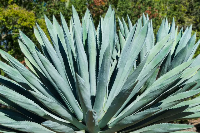 $3,895,000 | 2750 Latigo Drive, Solvang, CA 93463