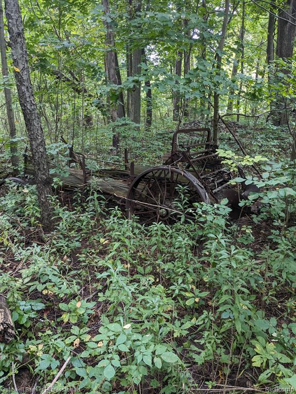 7168 Willis Road Brown City, MI 48416 - Photo 3 of 24