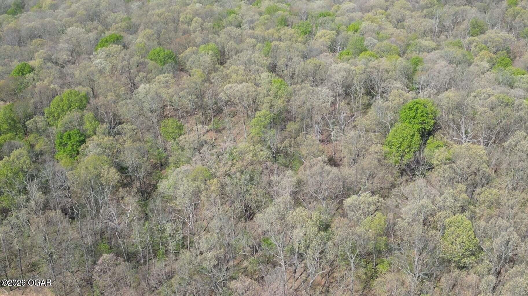 62 Plainview Road Anderson, MO 64831 - Photo 5 of 13 Plainview 10