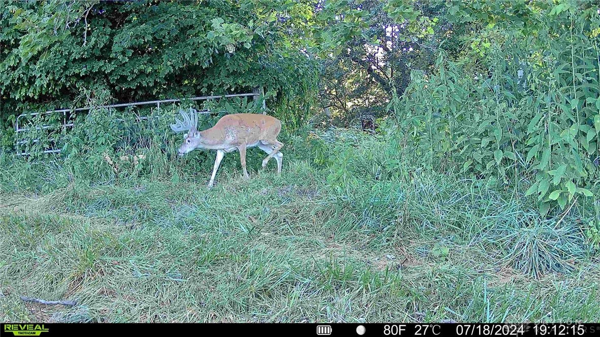 144-ac Pumpkin Ridge Road Manchester, OH 45144 - Photo 51 of 51 Gallery Image 51