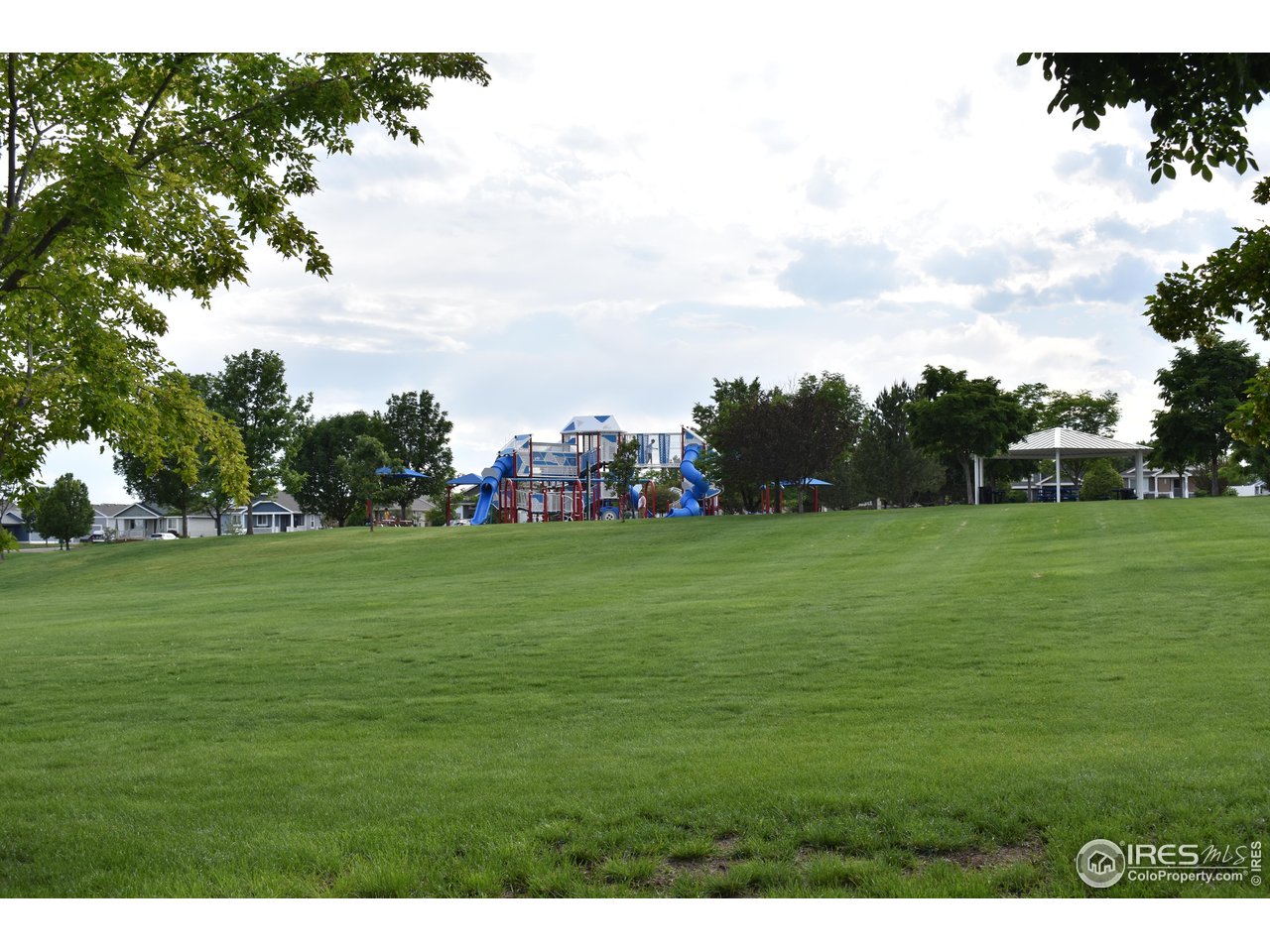 4200 Paintbrush Drive Evans, CO 80620 - Photo 16 of 18 a view of field with trees in the background