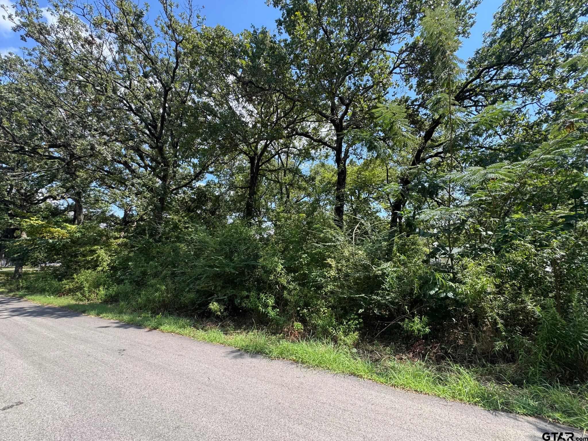 0 Hidalgo Loop Mabank, TX 75156 - Photo 4 of 6 a view of a road with plants and trees