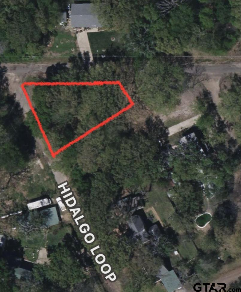 0 Hidalgo Loop Mabank, TX 75156 - Photo 5 of 6 an aerial view of a house