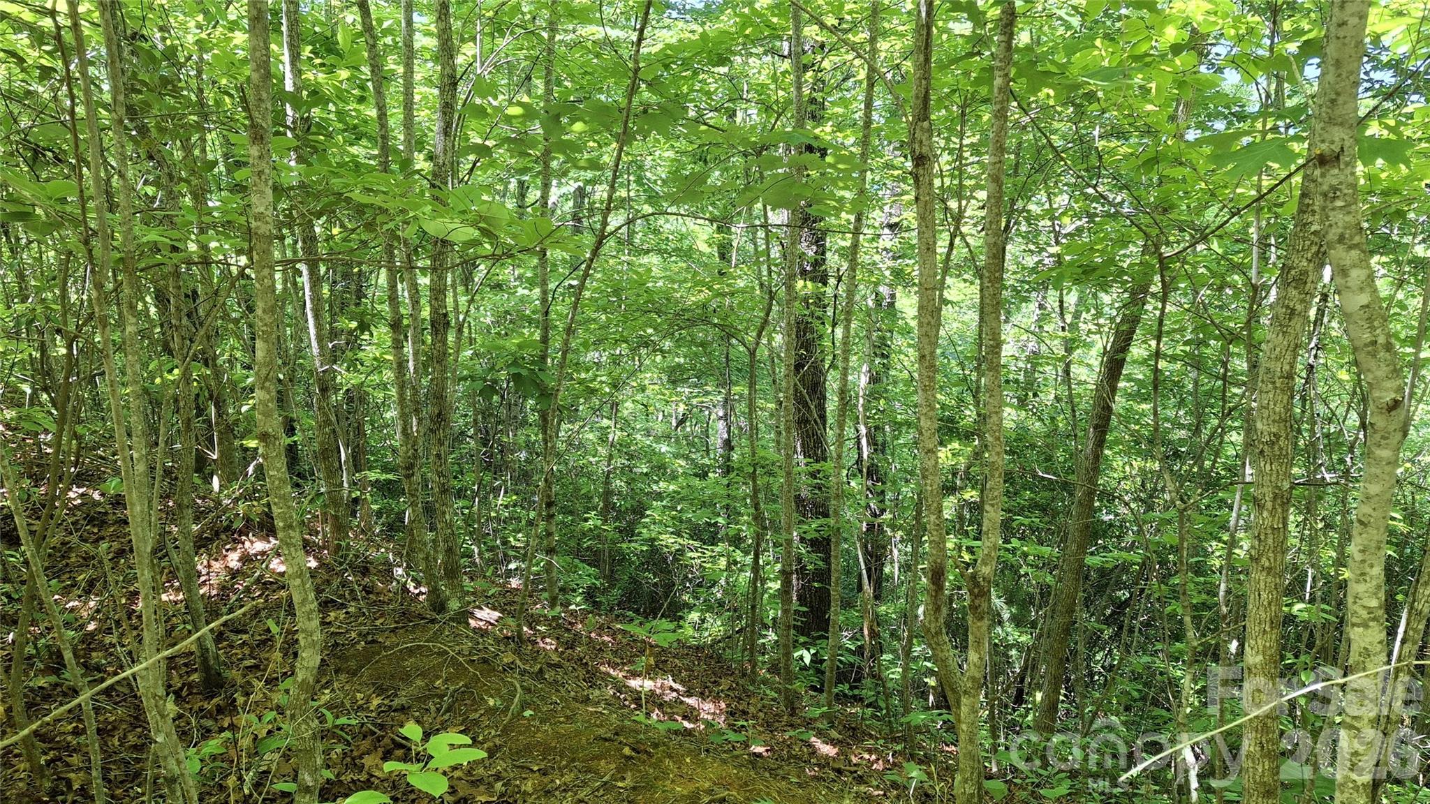 272 Kako Ridge, Unit 64 Sylva, NC 28779 - Photo 13 of 15