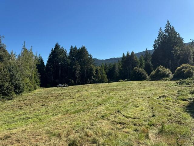 37430 Alderpoint Road Blocksburg, CA 95514 - Photo 17 of 18