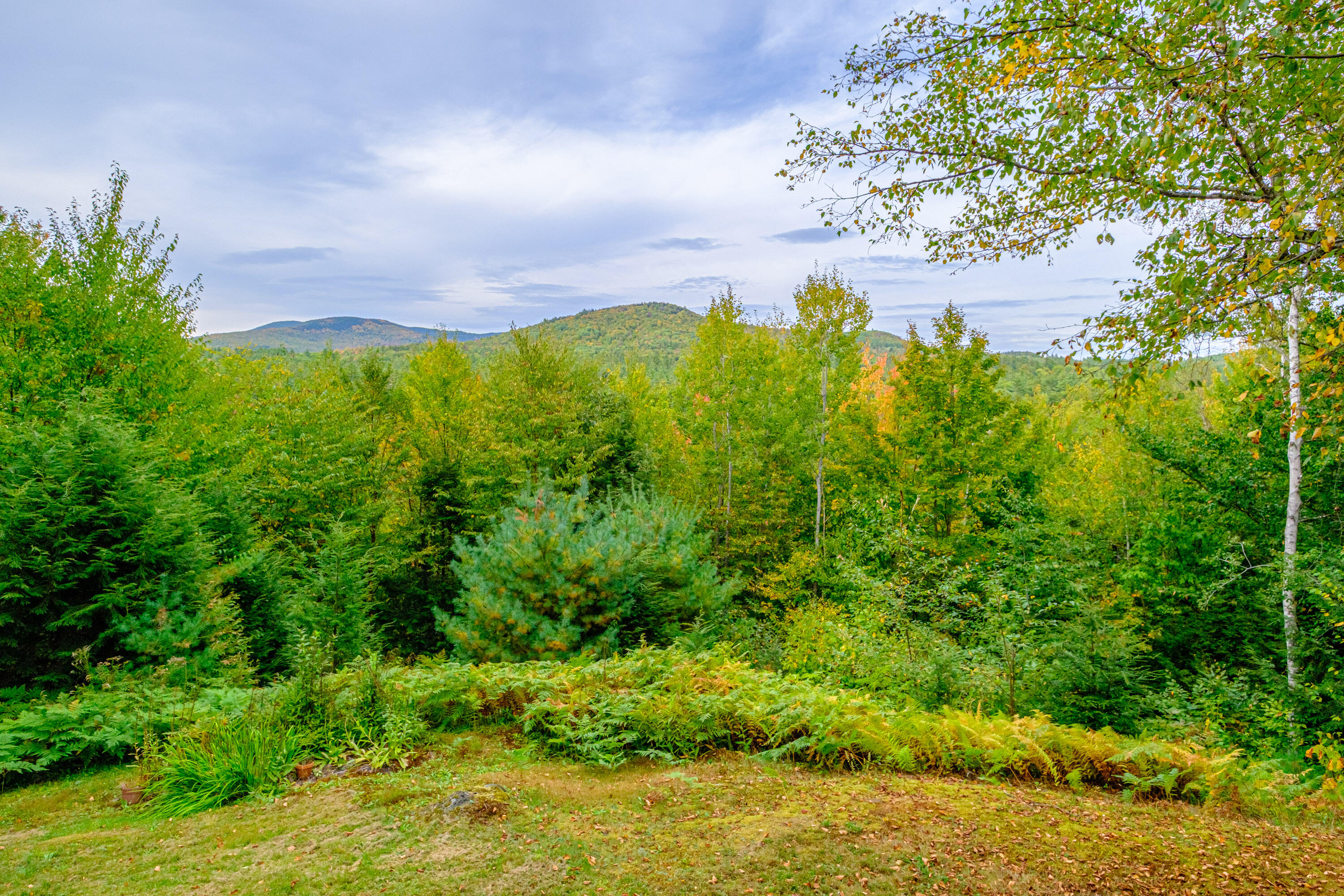 29 Holt Hill Road Bethel, ME 04217 - Photo 5 of 52 20250922gp-62081