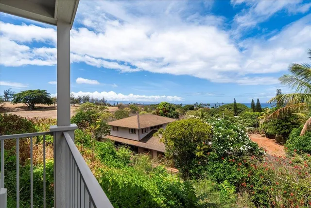 a view of a yard with plants and a trees