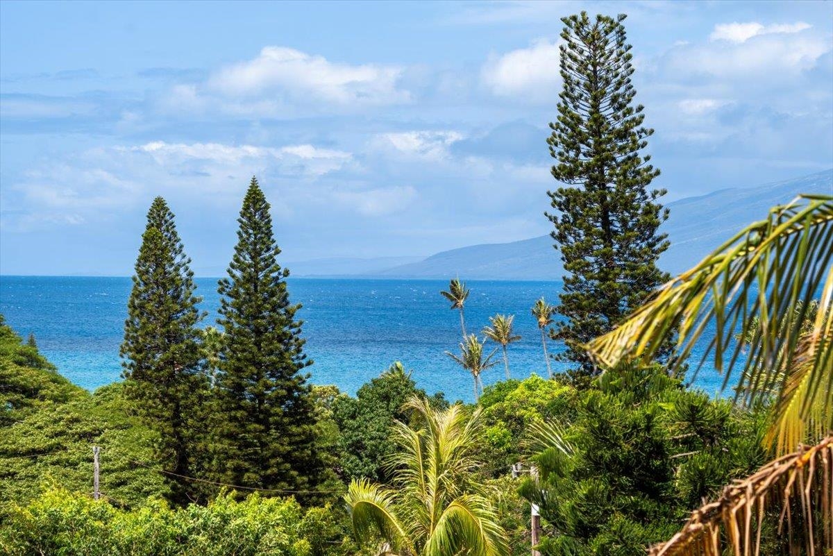 5510 Lower Honoapiilani Road, Unit B17 Lahaina, HI 96761 - Photo 37 of 45