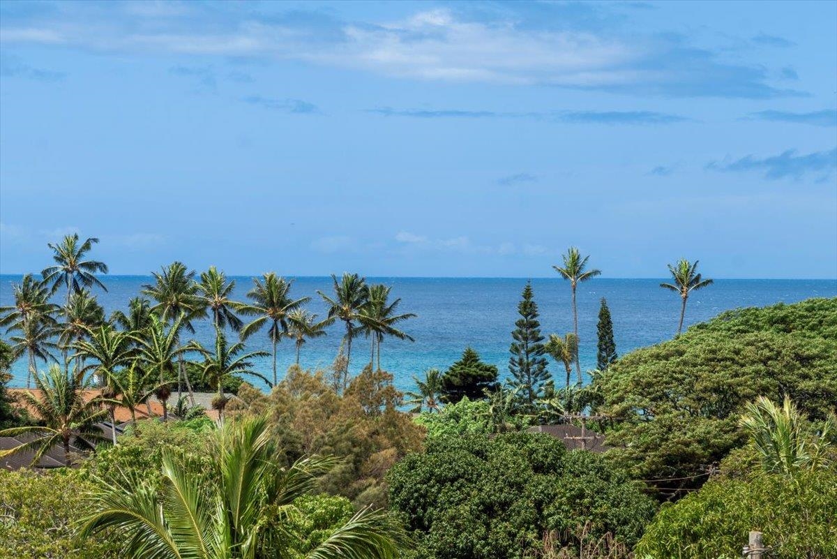 5510 Lower Honoapiilani Road, Unit B17 Lahaina, HI 96761 - Photo 38 of 45