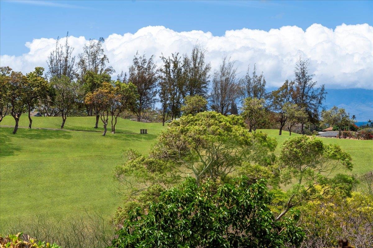 5510 Lower Honoapiilani Road, Unit B17 Lahaina, HI 96761 - Photo 39 of 45