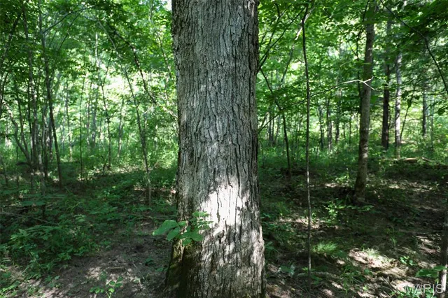 $655,000 | 5610 Cr-5610, Bunker, MO 63629