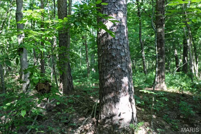 $655,000 | 5610 Cr-5610, Bunker, MO 63629