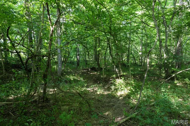 $655,000 | 5610 Cr-5610, Bunker, MO 63629