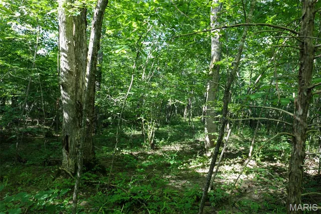 $655,000 | 5610 Cr-5610, Bunker, MO 63629