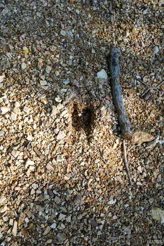 $655,000 | 5610 Cr-5610, Bunker, MO 63629