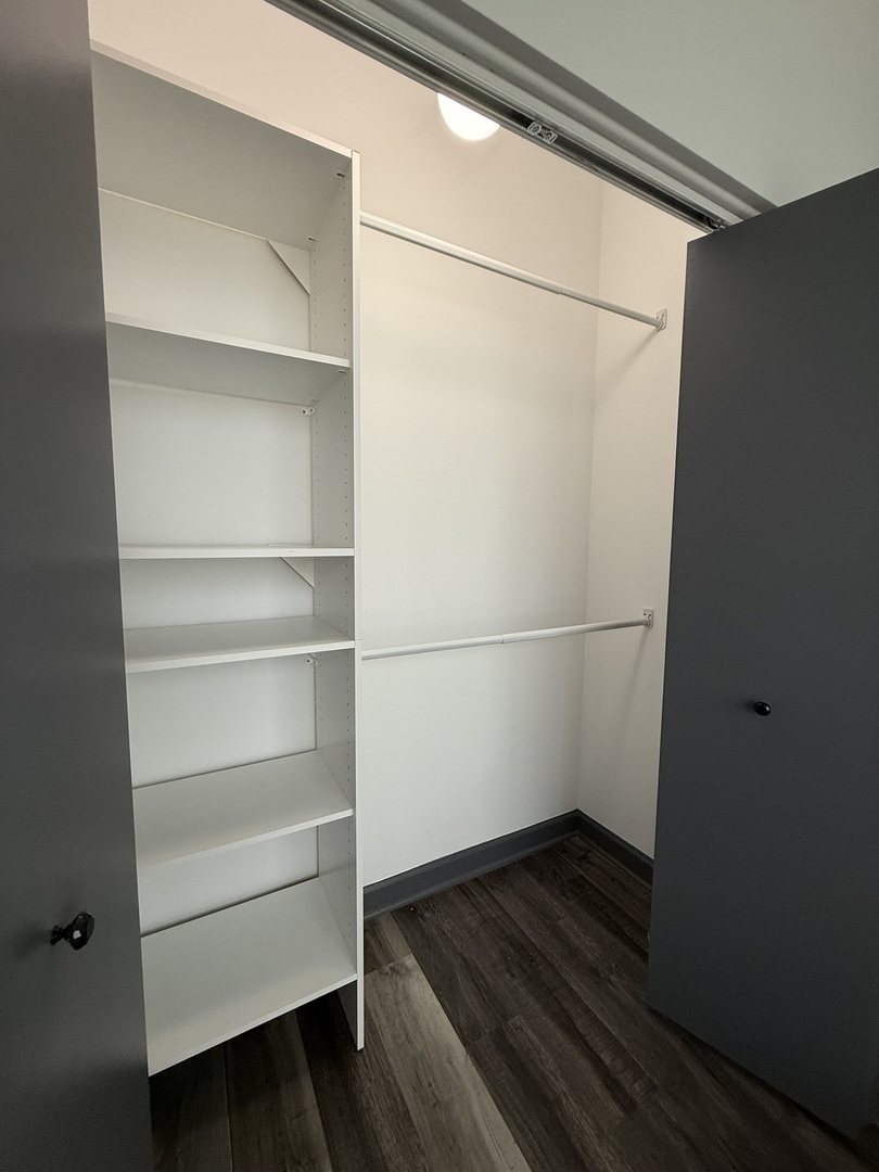 1235 South Prairie Avenue, Unit 3605 Chicago, IL 60605 - Photo 21 of 34 a view of an empty walk in closet