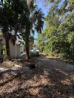 a view of a plants in front of house