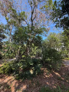 a view of backyard with green space