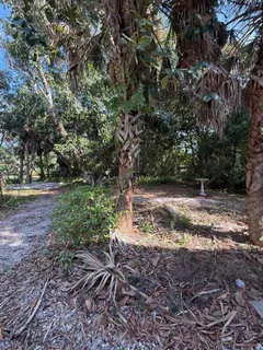 a view of street with trees