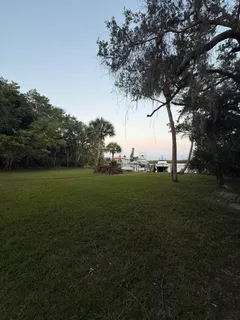 a view of yard with green space