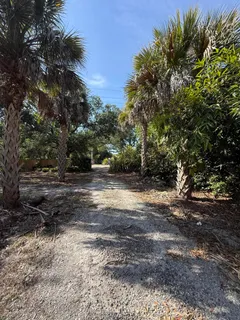 a view of a yard with plants and trees