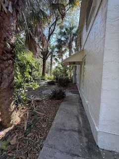 a pathway of a house with a trees