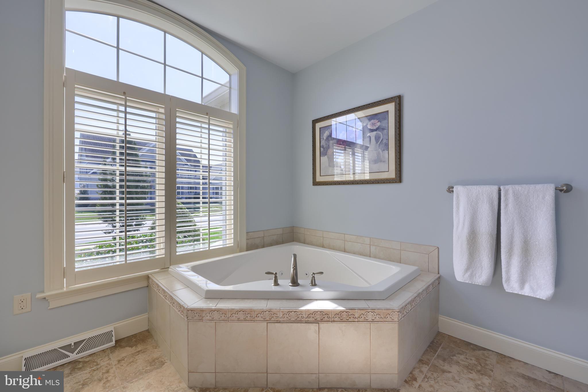 347 Ecker Drive Lititz, PA 17543 - Photo 39 of 84 1st Floor Owner's Bathroom Whirlpool Tub