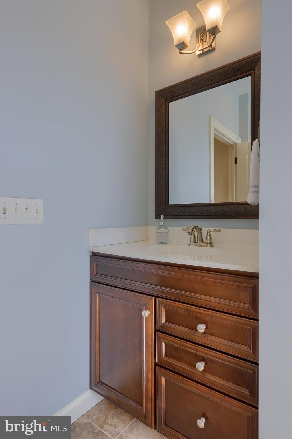 347 Ecker Drive Lititz, PA 17543 - Photo 41 of 84 1st Floor Owner's Bathroom