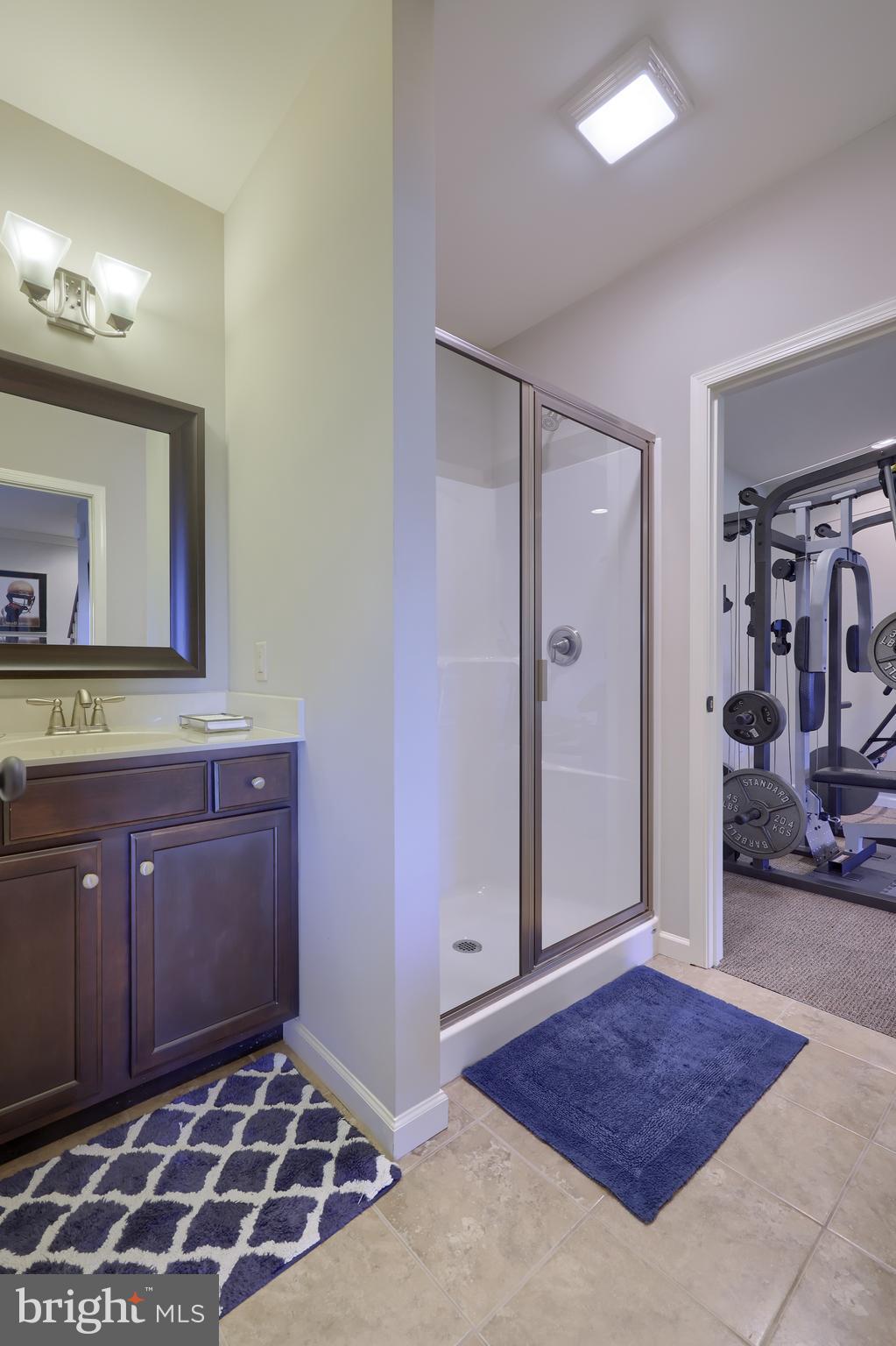 347 Ecker Drive Lititz, PA 17543 - Photo 53 of 84 LL Bathroom #3