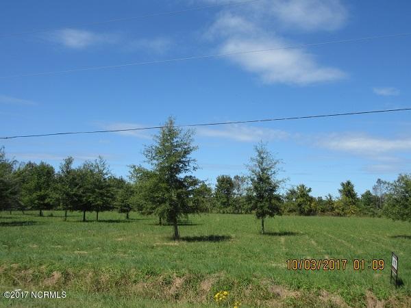 0 Mary Slocum Road Southwest Watha, NC 28478 - Photo 1 of 4 IMG_0686