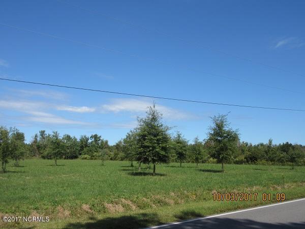 0 Mary Slocum Road Southwest Watha, NC 28478 - Photo 2 of 4 IMG_0685