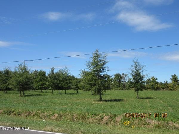 0 Mary Slocum Road Southwest Watha, NC 28478 - Photo 4 of 4 IMG_0683