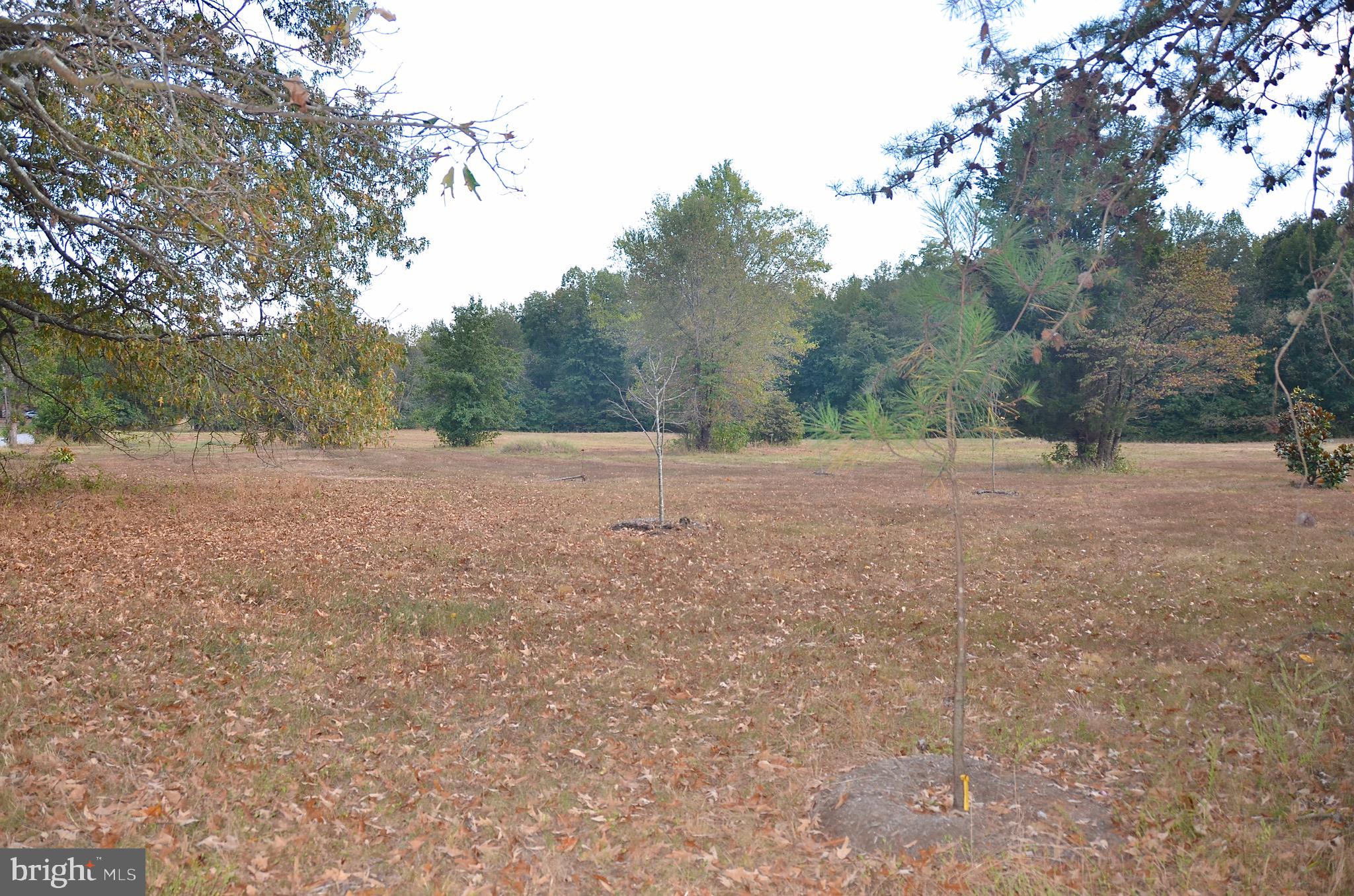 Muddy Creek Road Edgewater, MD 21037 - Photo 3 of 4