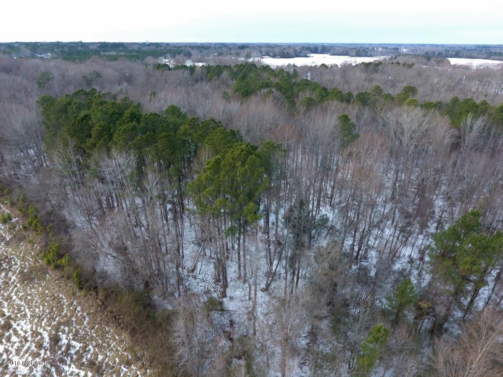 26.89 Bynum Farm Road Pinetops, NC 27864 - Photo 2 of 43 2 (1024x768)