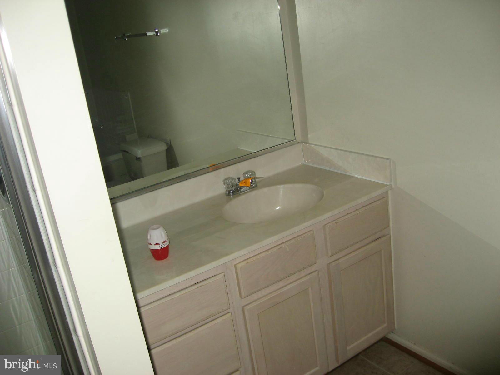241 Sycamore Ridge Road Laurel, MD 20724 - Photo 19 of 30 Bath