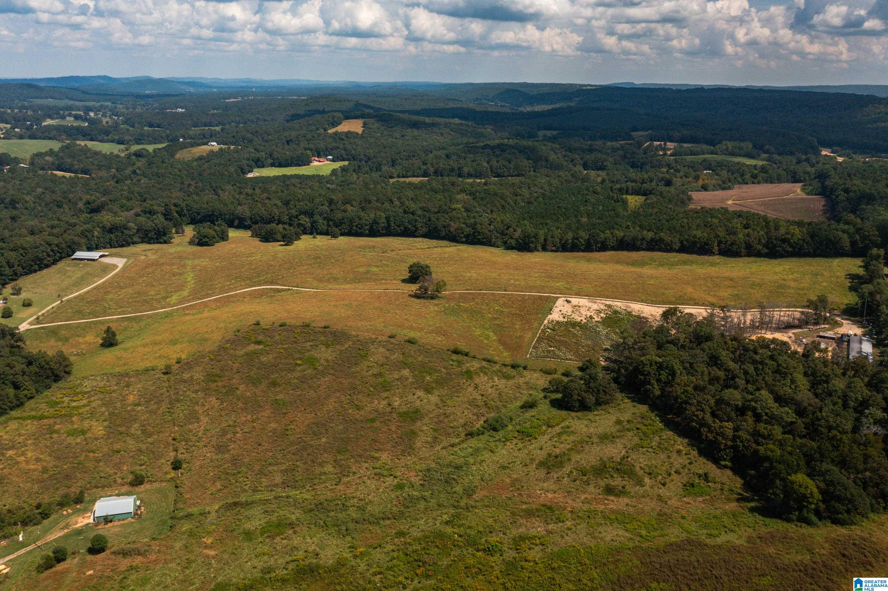 3124 County Road 39 Oneonta, AL 35121 - Photo 92 of 98