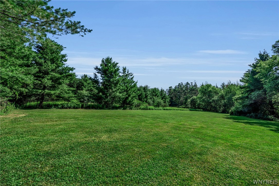 13220 Big Tree Road Wales, NY 14037 - Photo 42 of 45