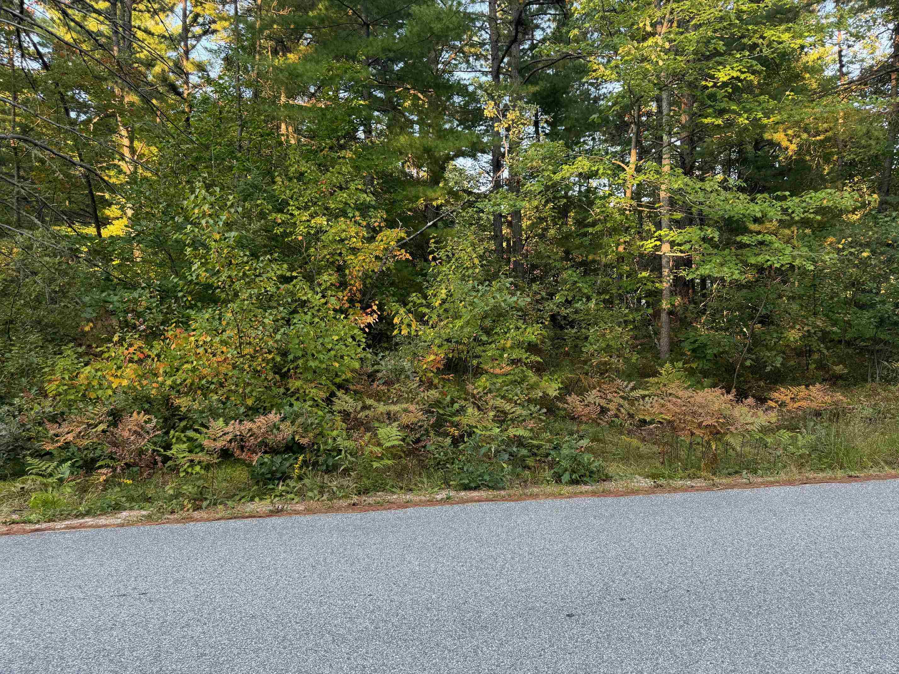 45 Old Mill Road Ossipee, NH 03890 - Photo 5 of 12