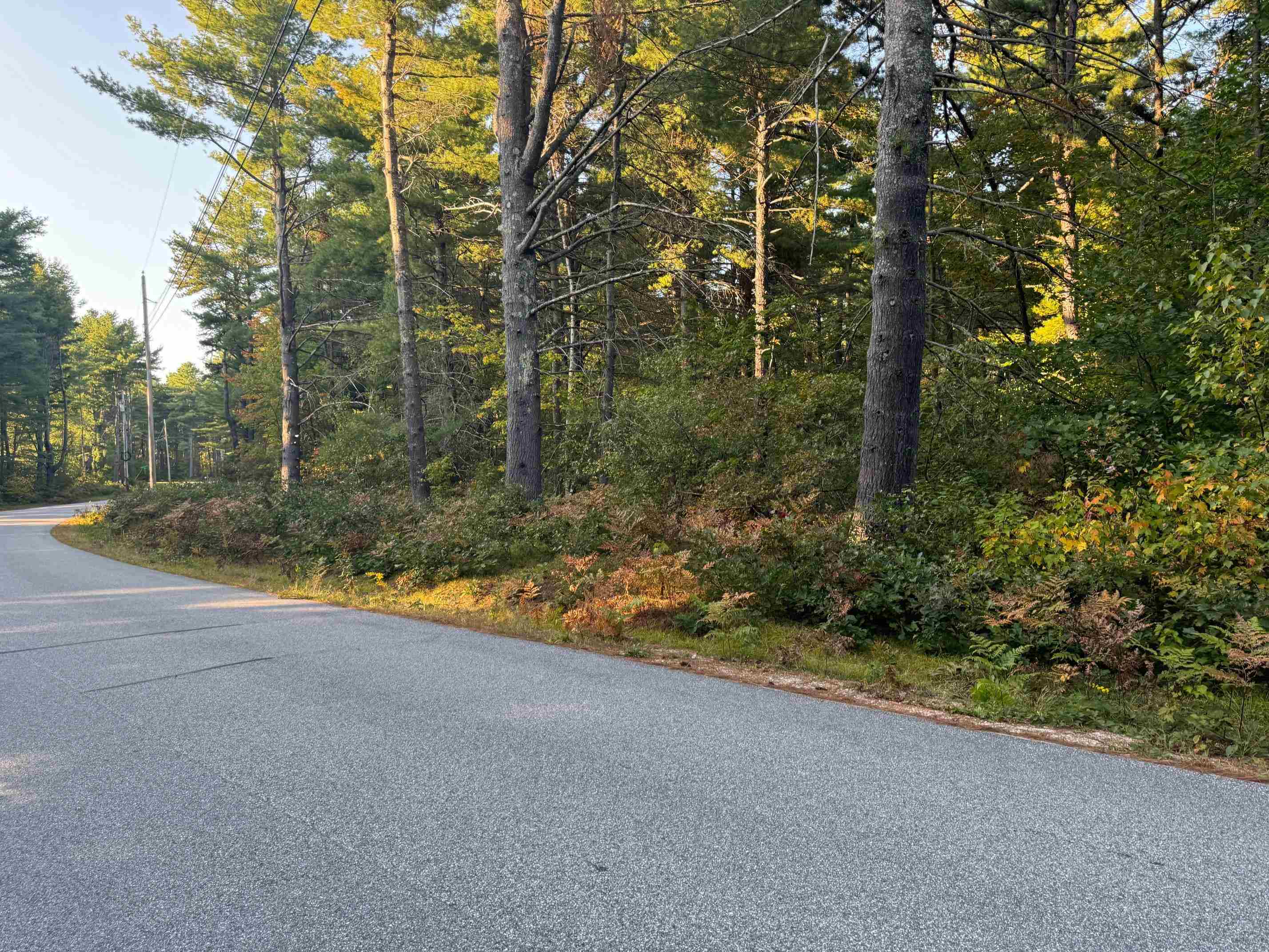 45 Old Mill Road Ossipee, NH 03890 - Photo 6 of 12