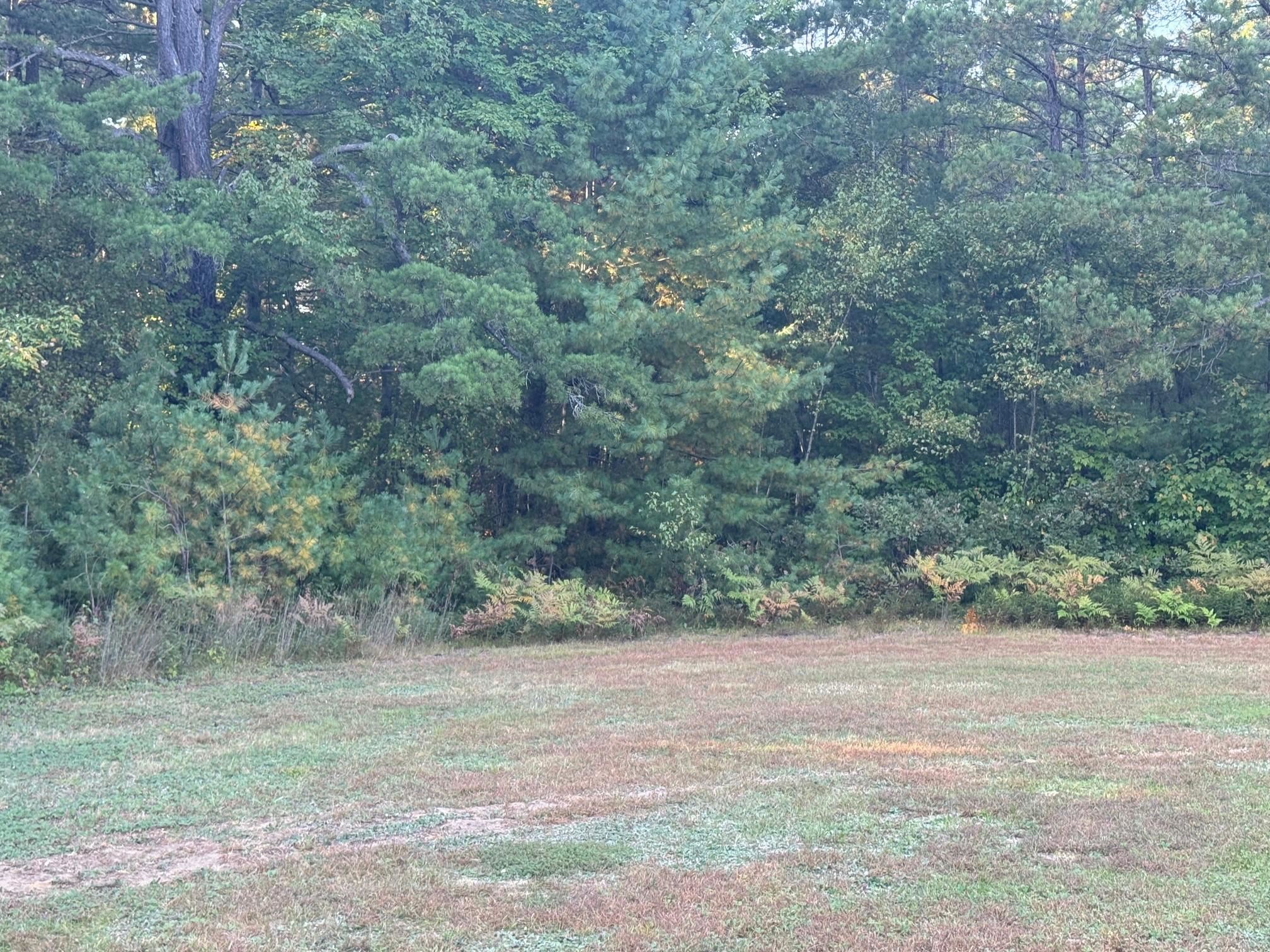 45 Old Mill Road Ossipee, NH 03890 - Photo 7 of 12