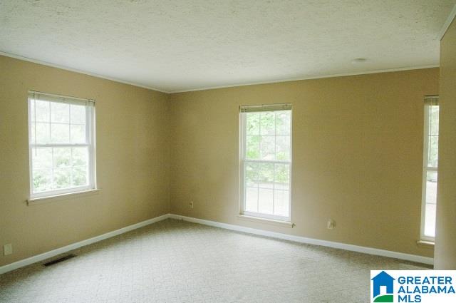 7340 Stemley Bridge Road Talladega, AL 35160 - Photo 20 of 29 Gallery Image 20