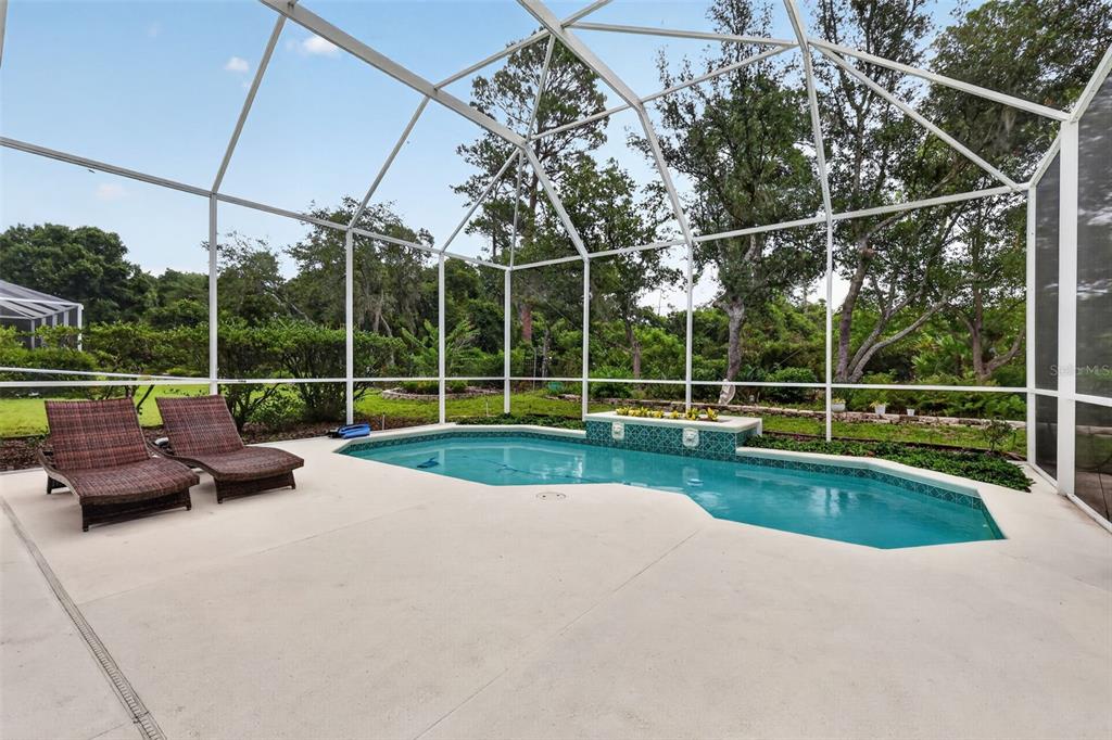 9035 Laurel Ridge Drive Mount Dora, FL 32757 - Photo 35 of 40
