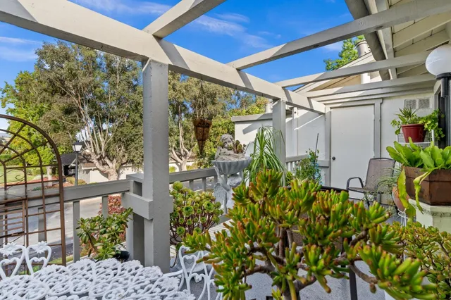 a view of a potted plants on a table