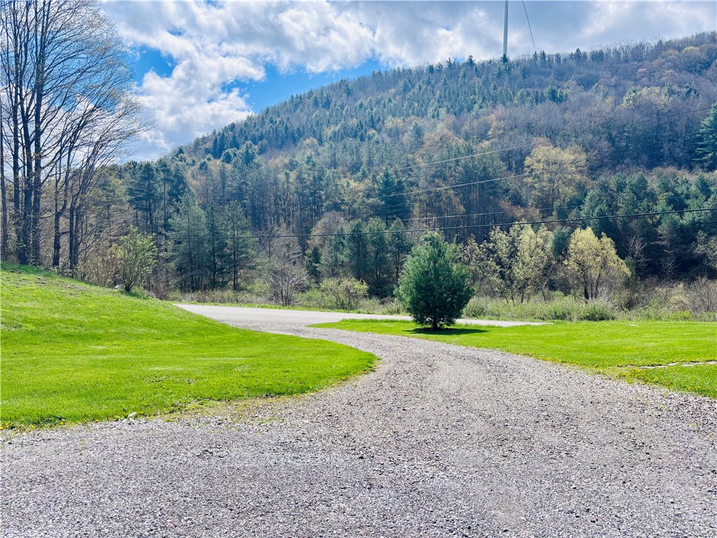 10005 Lake Hollow Road Cohocton, NY 14826 - Photo 2 of 32