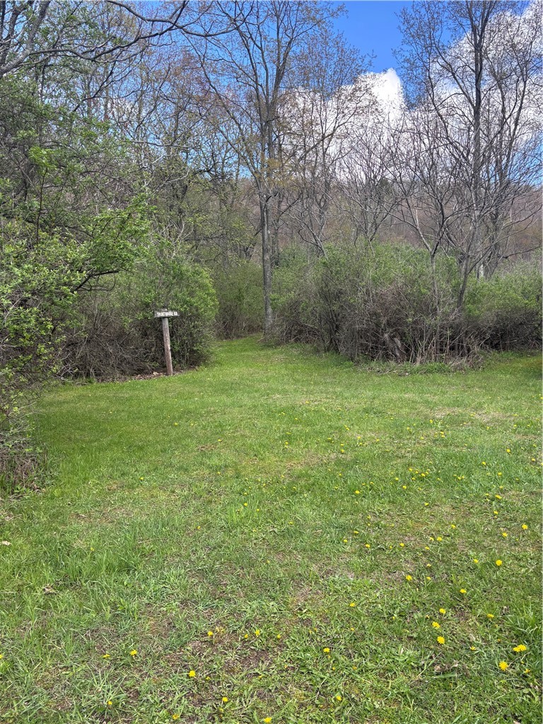10005 Lake Hollow Road Cohocton, NY 14826 - Photo 27 of 32