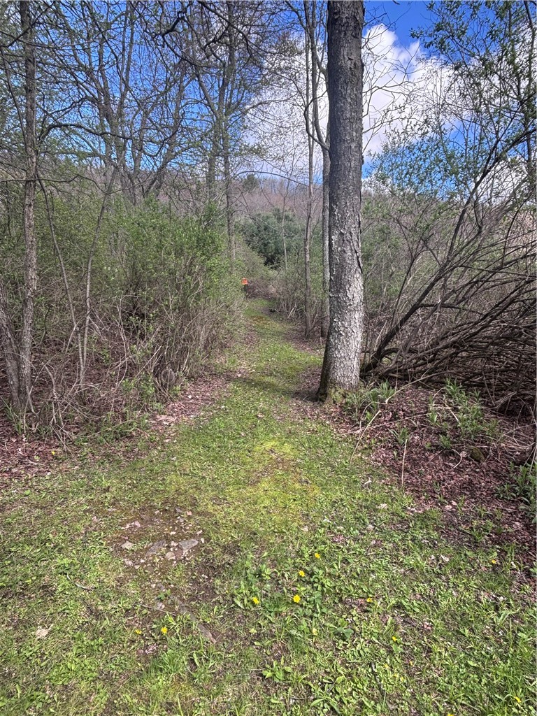 10005 Lake Hollow Road Cohocton, NY 14826 - Photo 28 of 32