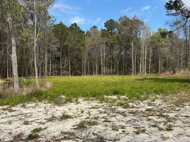 Lot 4 Coats Road Loris, SC 29569 - Photo 2 of 8